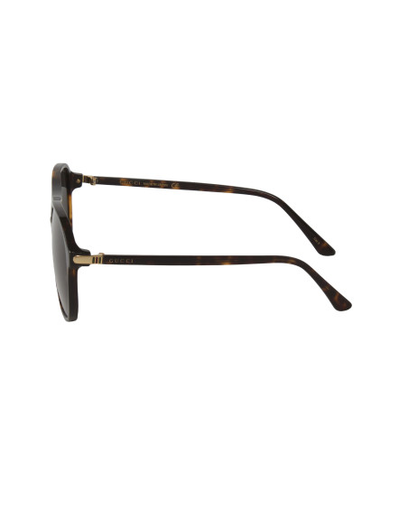 Gucci Gg0016s 007 Square Shape Carey Negro Acetato Original | Sunni...