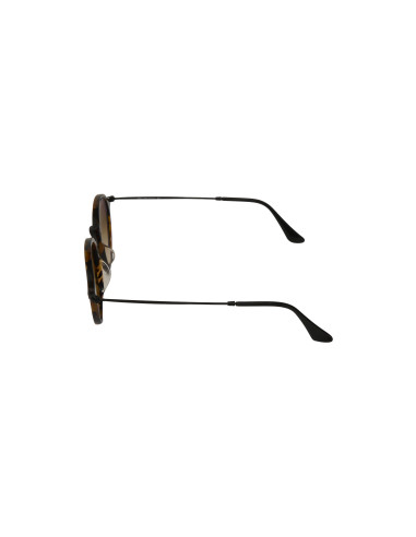 Ray Ban Rb2447 1157/9u Round Fleck Plata Espejo Carey | Sunnies.uno