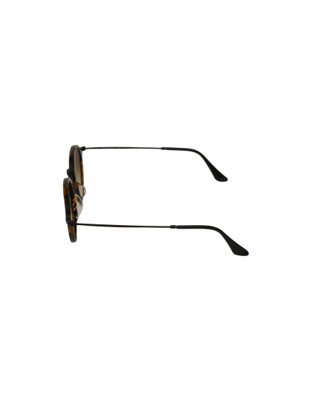 Ray Ban Rb2447 1157/9u Round Fleck Plata Espejo Carey | Sunnies.uno