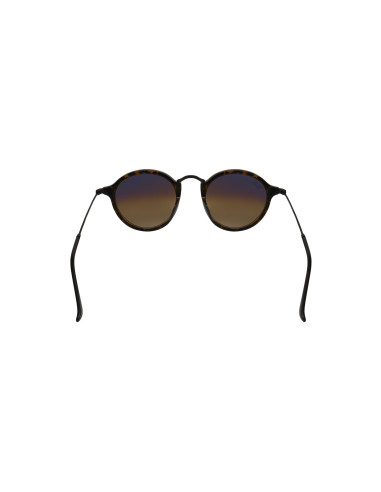 Ray Ban Rb2447 1157/9u Round Fleck Plata Espejo Carey | Sunnies.uno