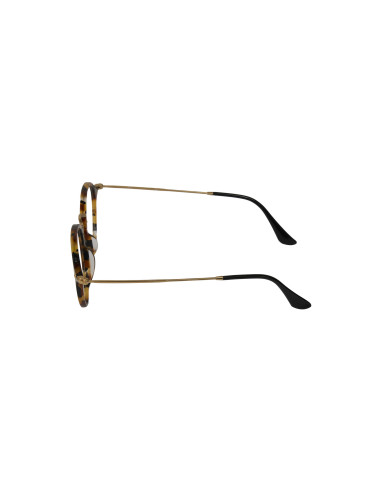 Ray Ban Rb2447v 5494 Oftalmico Carey Dorado Original
