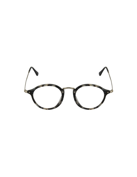Ray Ban Rb2447V 5832 Oftalmico Round Fleck Carey Beige Plata