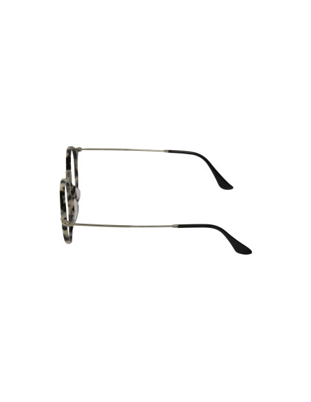 Ray Ban Rb2447V 5832 Oftalmico Round Fleck Carey Beige Plata