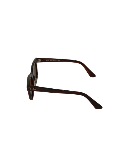 Ray Ban Rb2168 954/33 Meteor Carey Cafe B15 Clasico Original | Sunn...