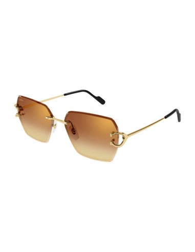 Cartier CT0466S 001