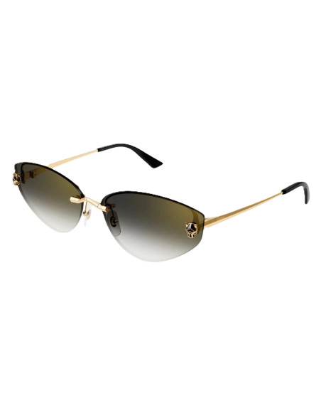 Cartier CT0466S 001