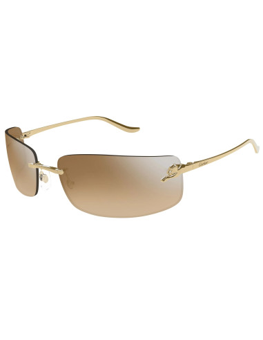 Cartier CT0466S 001