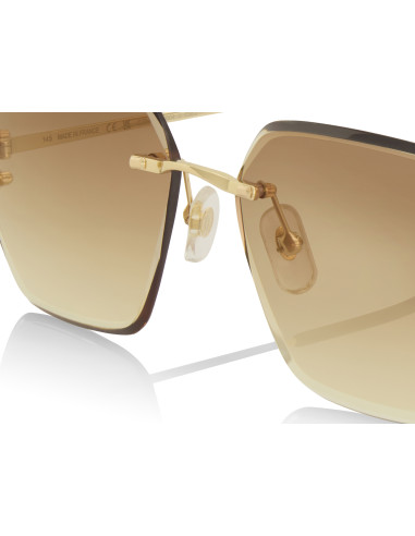 Cartier CT0466S 001