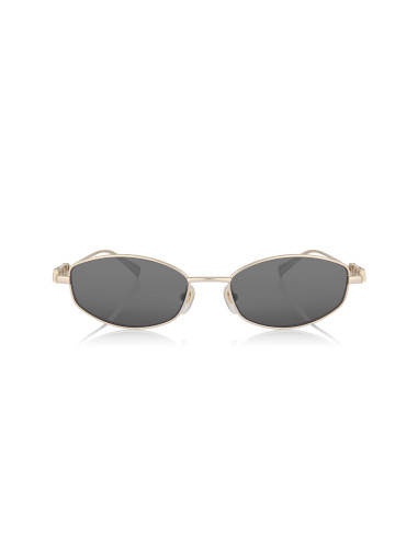 Cartier CT0466S 001