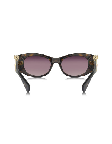 Cartier CT0466S 001