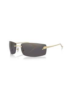 Cartier CT0466S 001