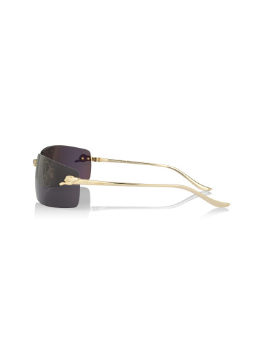 Cartier CT0466S 001