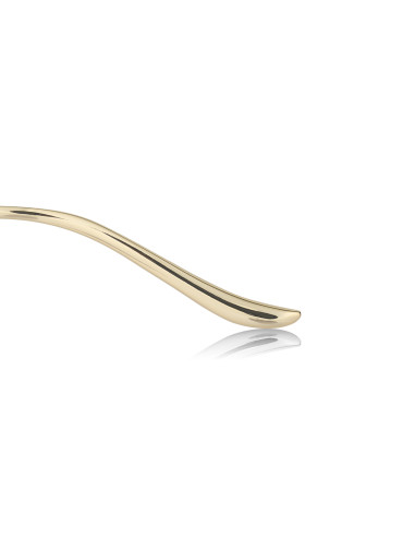 Cartier CT0466S 001