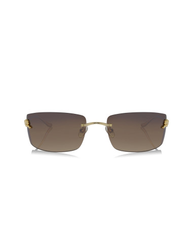 Cartier CT0466S 001