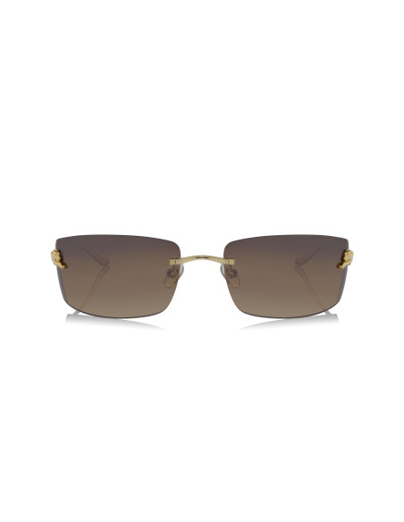 Cartier CT0466S 001