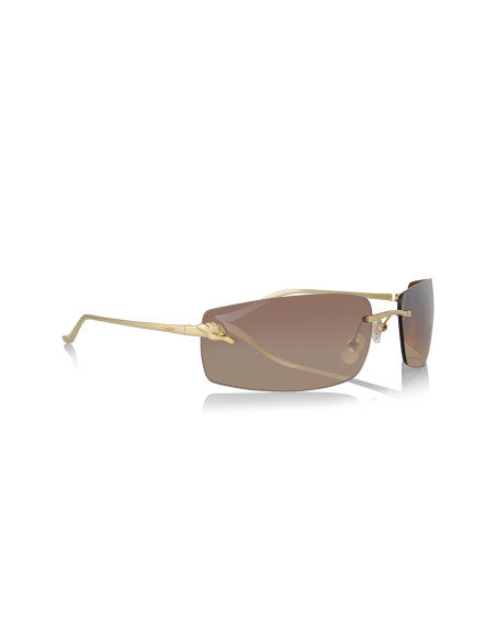 Cartier CT0466S 001