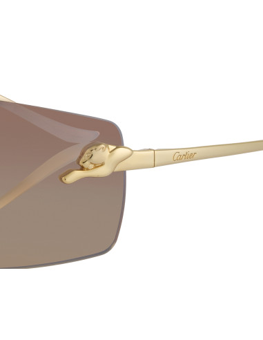 Cartier CT0466S 001