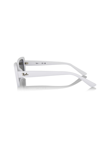 Ray-Ban RB4421D 681885 | Sunnies México