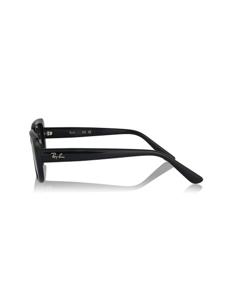 Ray-Ban RB4421D 667787 | Sunnies México
