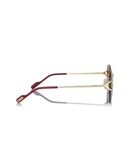 Cartier CT0466S 001