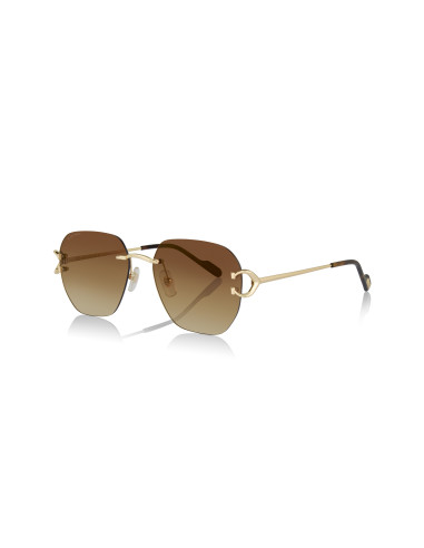 Cartier CT0466S 001