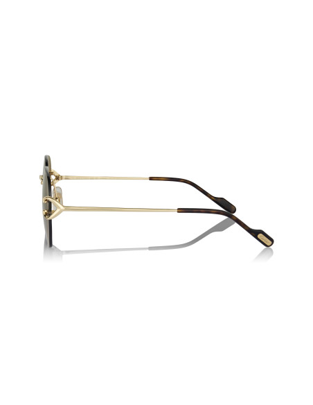 Cartier CT0466S 001