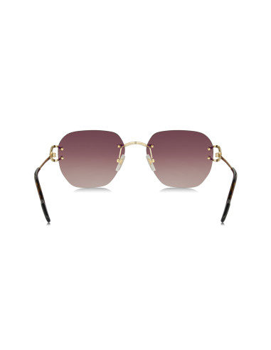 Cartier CT0466S 001