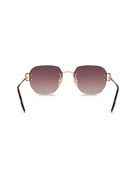 Cartier CT0466S 001