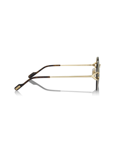 Cartier CT0466S 001