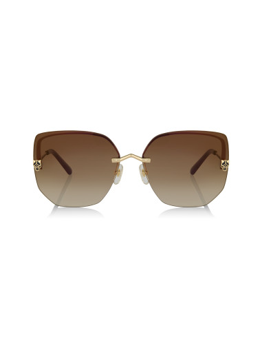 Cartier CT0466S 001