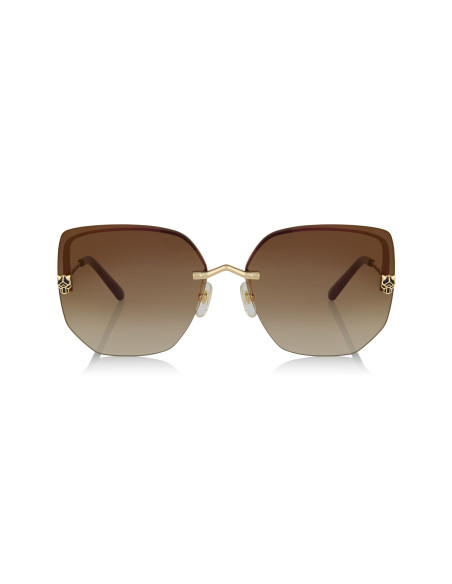 Cartier CT0466S 001