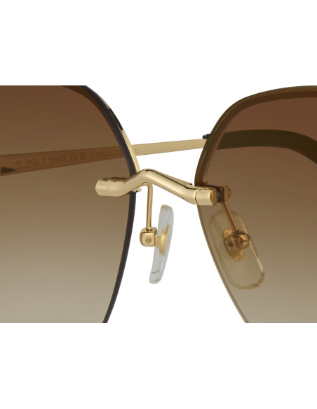 Cartier CT0466S 001