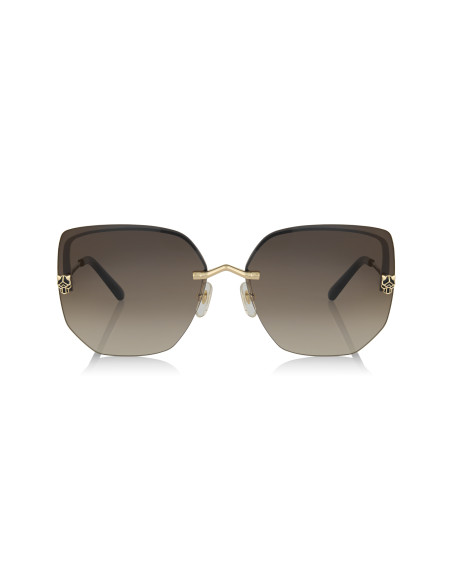 Cartier CT0466S 001