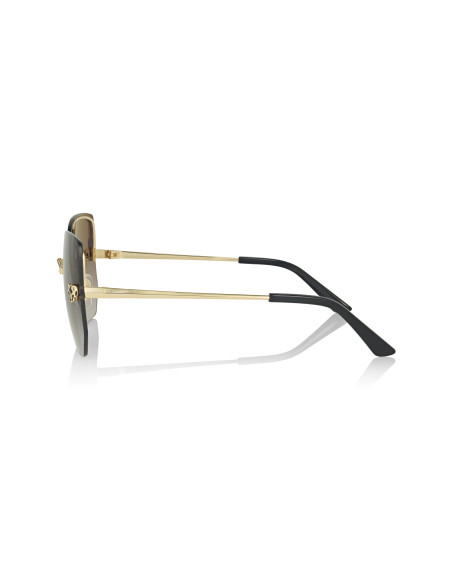 Cartier CT0466S 001