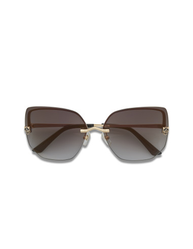 Cartier CT0466S 001