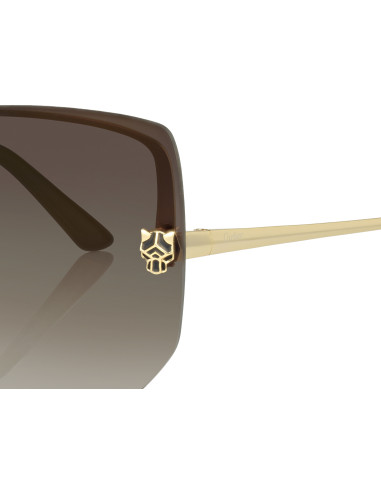 Cartier CT0466S 001