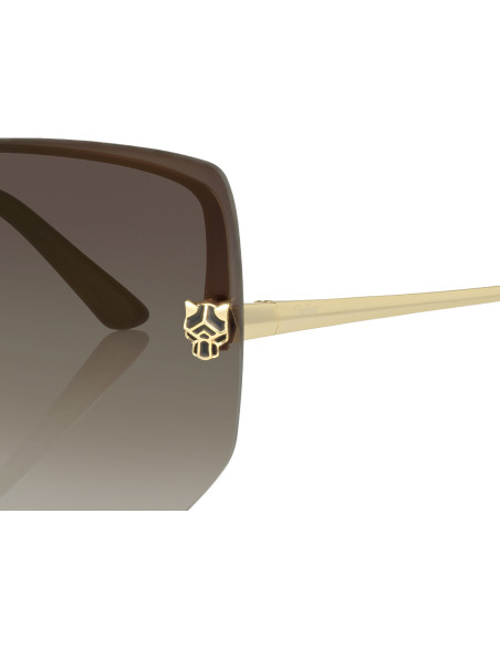 Cartier CT0466S 001