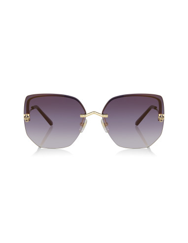 Cartier CT0466S 001