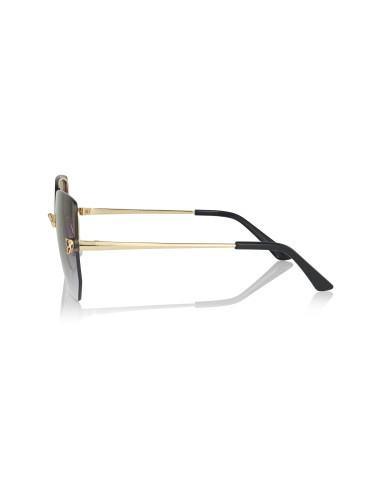 Cartier CT0466S 001
