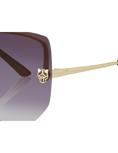 Cartier CT0466S 001