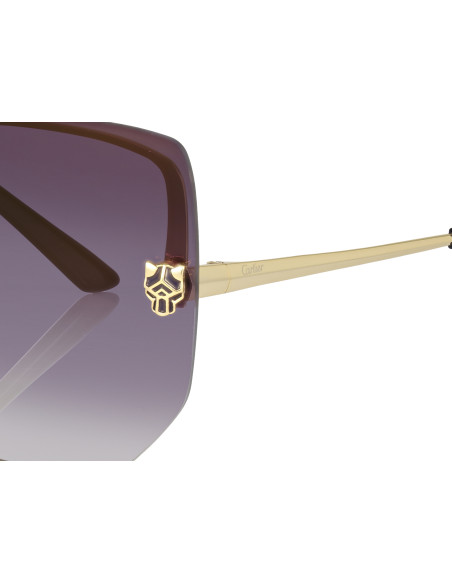 Cartier CT0466S 001