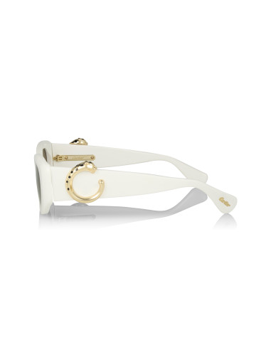Cartier CT0466S 001