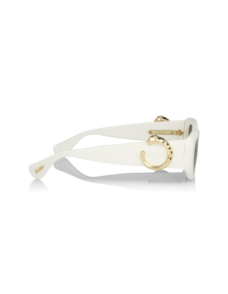 Cartier CT0466S 001