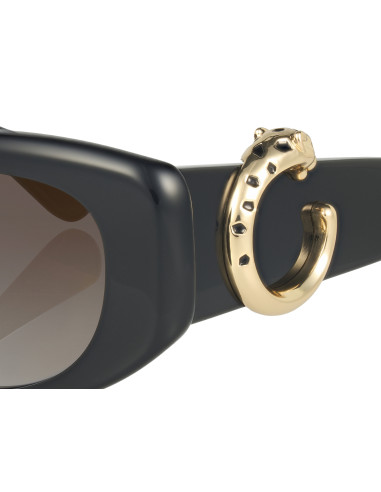 Cartier CT0466S 001