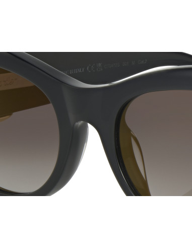 Cartier CT0466S 001
