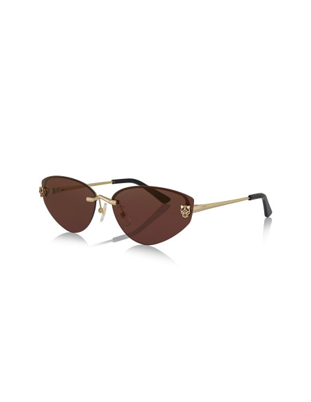 Cartier CT0466S 001