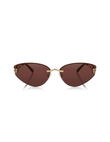 Cartier CT0466S 001
