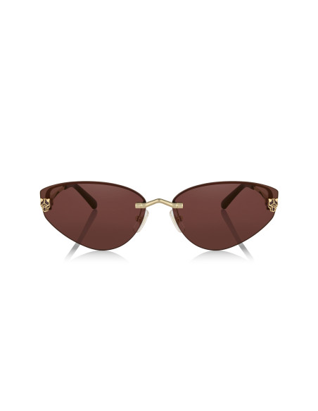 Cartier CT0466S 001
