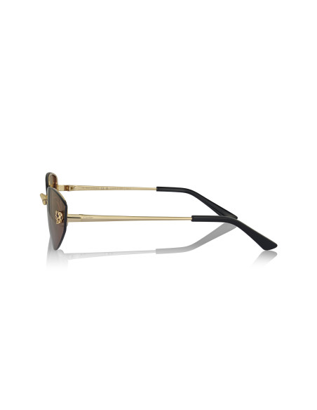 Cartier CT0466S 001