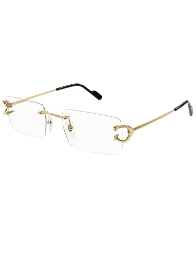 Cartier CT0466S 001